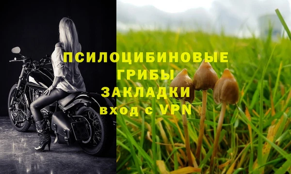 ALPHA PVP Великий Новгород