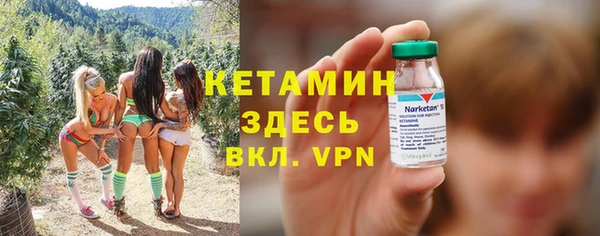 крисы Надым