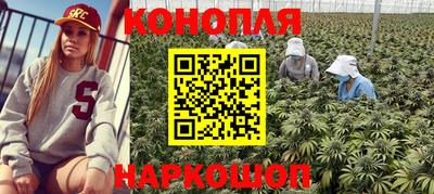 прущие грибы Волжский