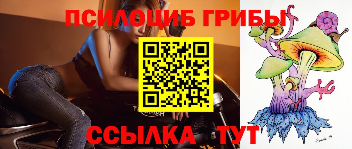 Галлюциногенные грибы Cubensis Изобильный