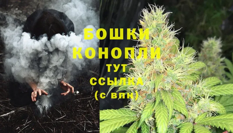 Бошки марихуана THC 21%  закладки  Изобильный 