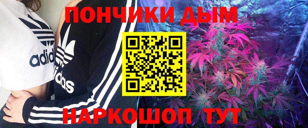 Каннабис ГИДРОПОН Изобильный